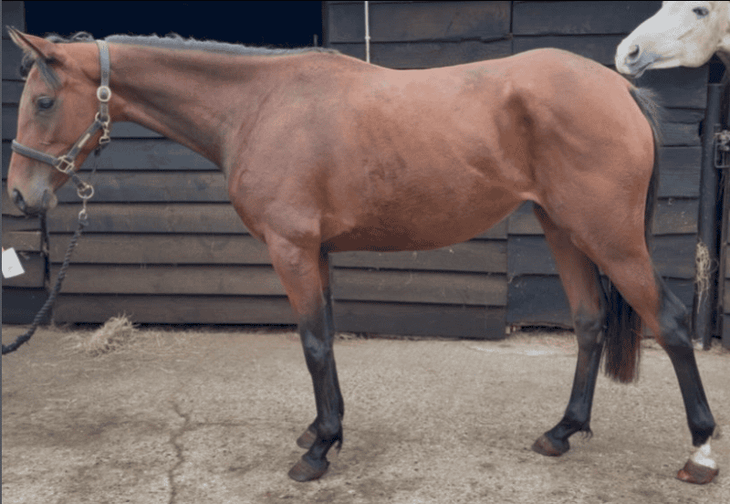 £2950