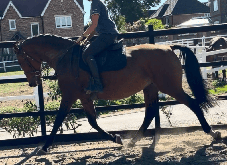 £5950
